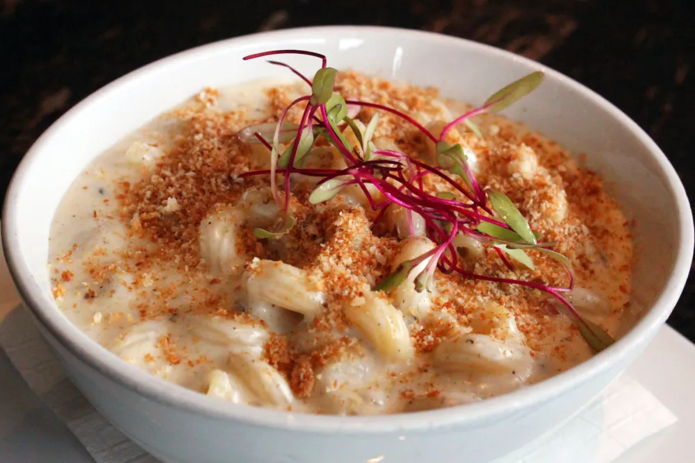 Cavatappi pasta in a truffle cream sauce with provolone, Gruyère and Parmigiano Reggiano. Photo credit: MWD Horowitz for MAX'S Wine Dive Shows How to Get More Comfort Food in Your Life
