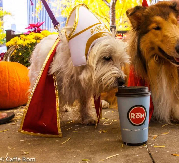Caffe Rom Halloween 1 for Halloween Happenings in Chicago