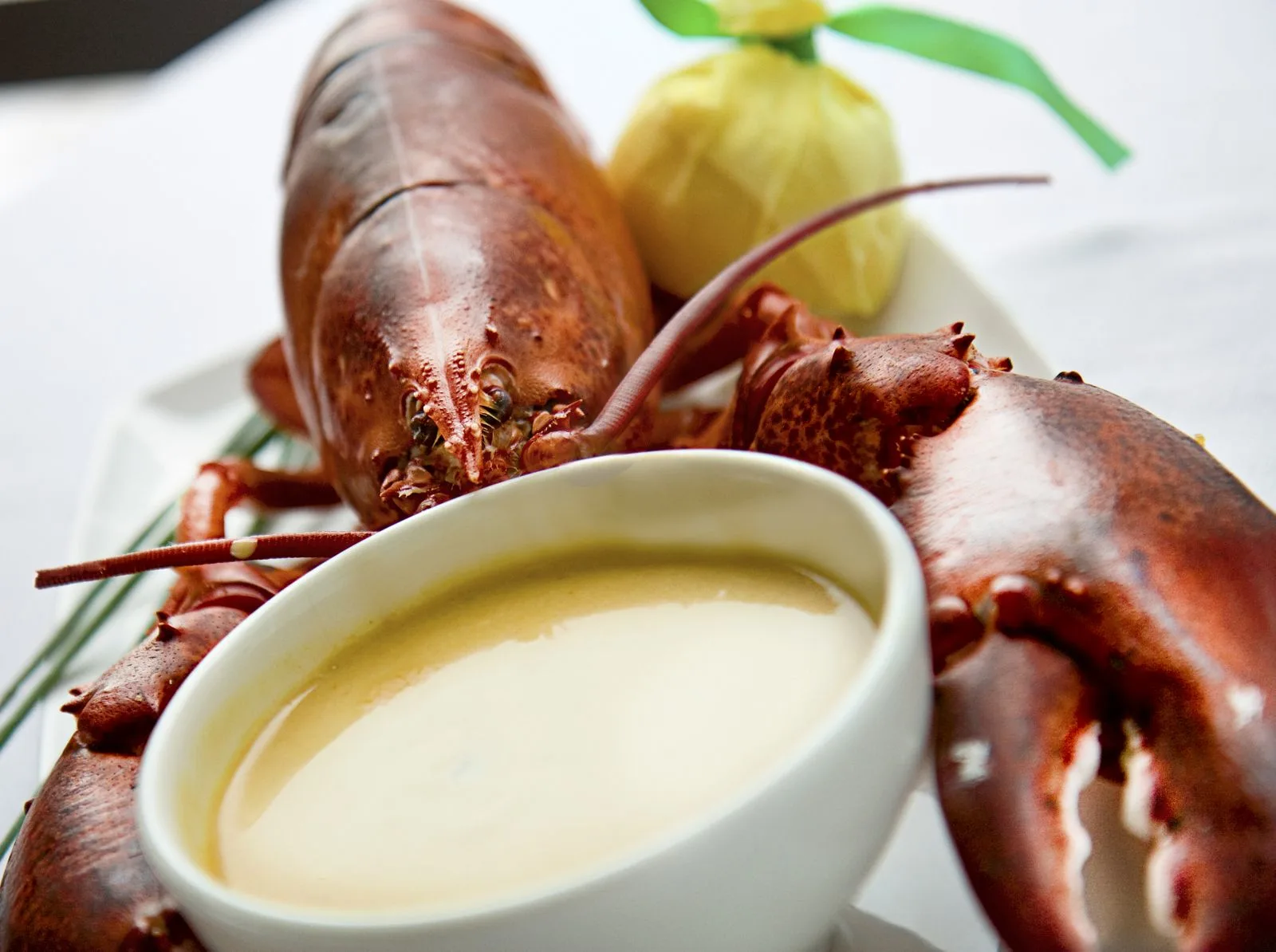 Riva Lobster Corn Bisque 1 for National Soup Month Specials at Chicagoland Restaurants