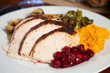 Feature Image for A Thanksgiving Holiday Vacation Guide to Chicago
