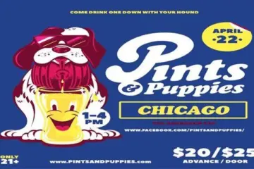 Puppies Pints Go for Pints and Puppies at The Aberdeen Tap and G&O