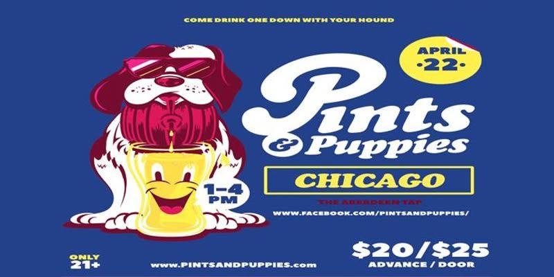 Puppies Pints Go for Pints and Puppies at The Aberdeen Tap and G&O