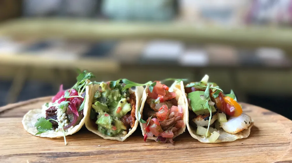From left to right: grilled steak, chicken tinga, carnitas, grilled shrimp for Taco Flights, Frozen Margs & More for Cinco de Mayo at Rhyme or Reason