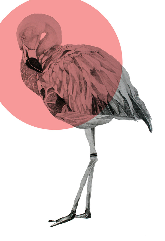 Image for Adolfo Garcia + Phil Stefani Partner For Upcoming Rum Club