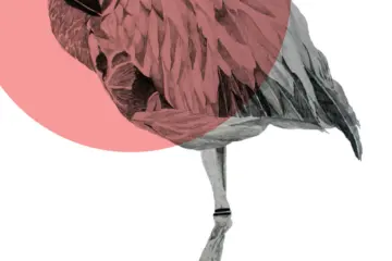 Image for Adolfo Garcia + Phil Stefani Partner For Upcoming Rum Club