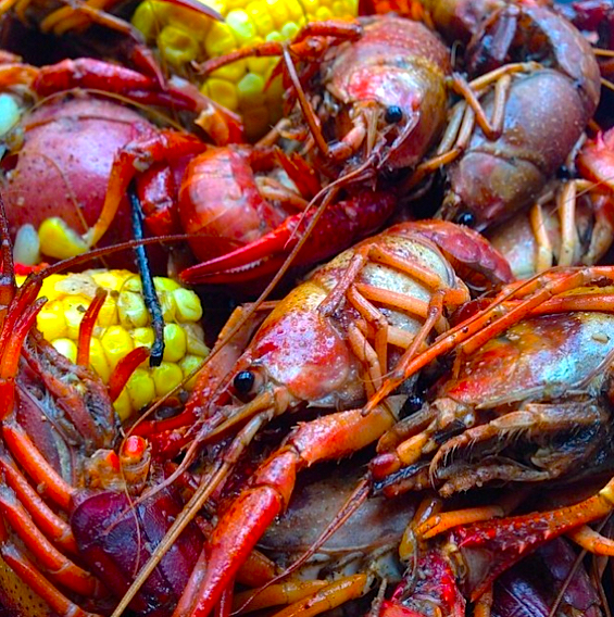 Frontier Hosts AllYouCanEat Crawfish Boil Chicago Food Magazine