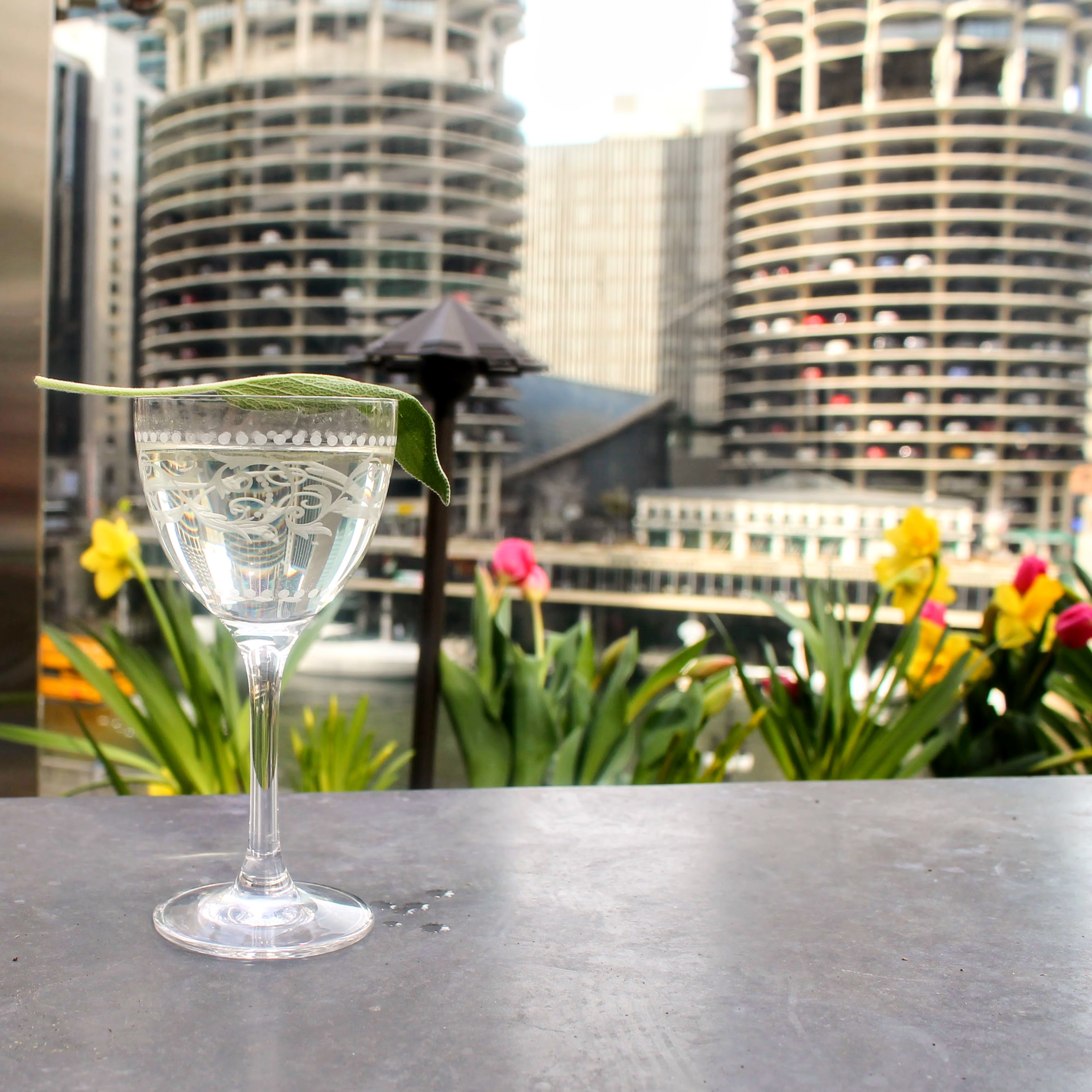 Image for Raised, Urban Rooftop Bar Hosts Hop Into Spring Fundraiser