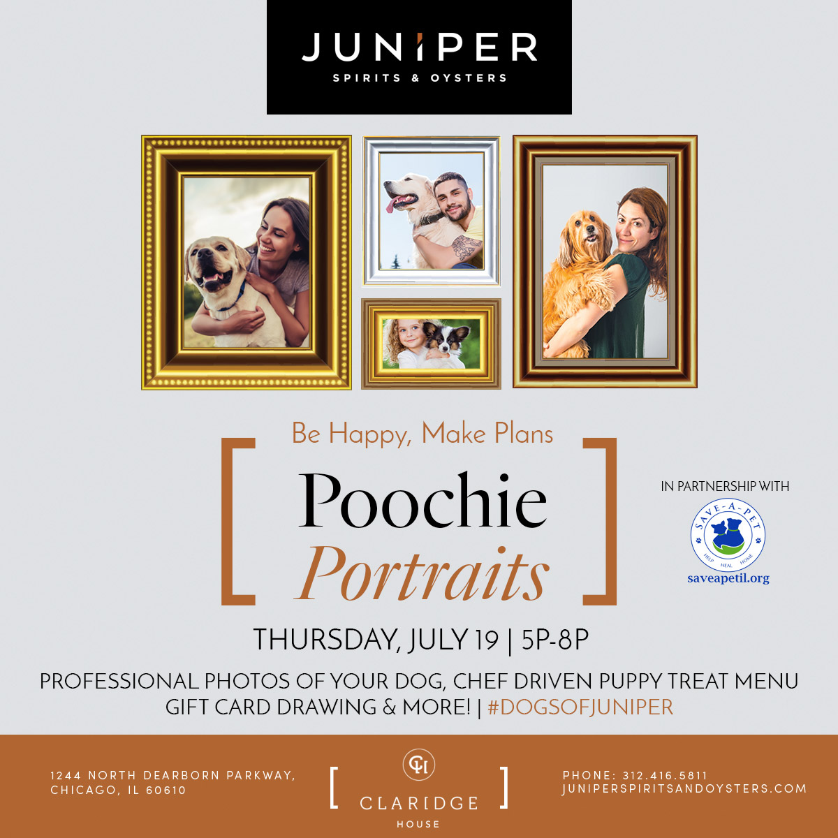 Juniper Poochie Portraits for Juniper Spirits & Oysters Poochie Portraits Event, July 19