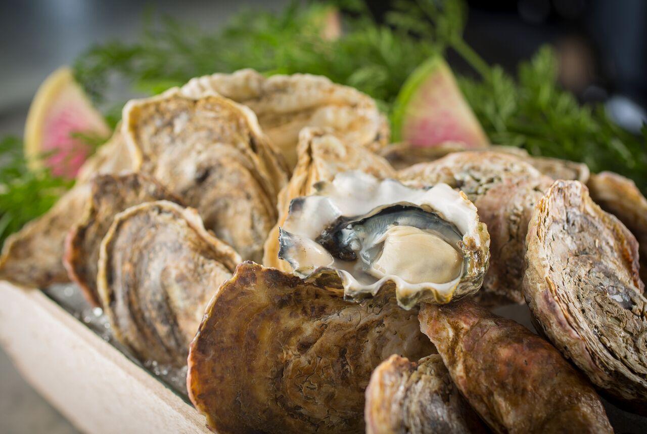 Oyster 2 for Pearl Tavern Hosting 2016 Olympic Opening Ceremonies Watch Party on National Oyster Day