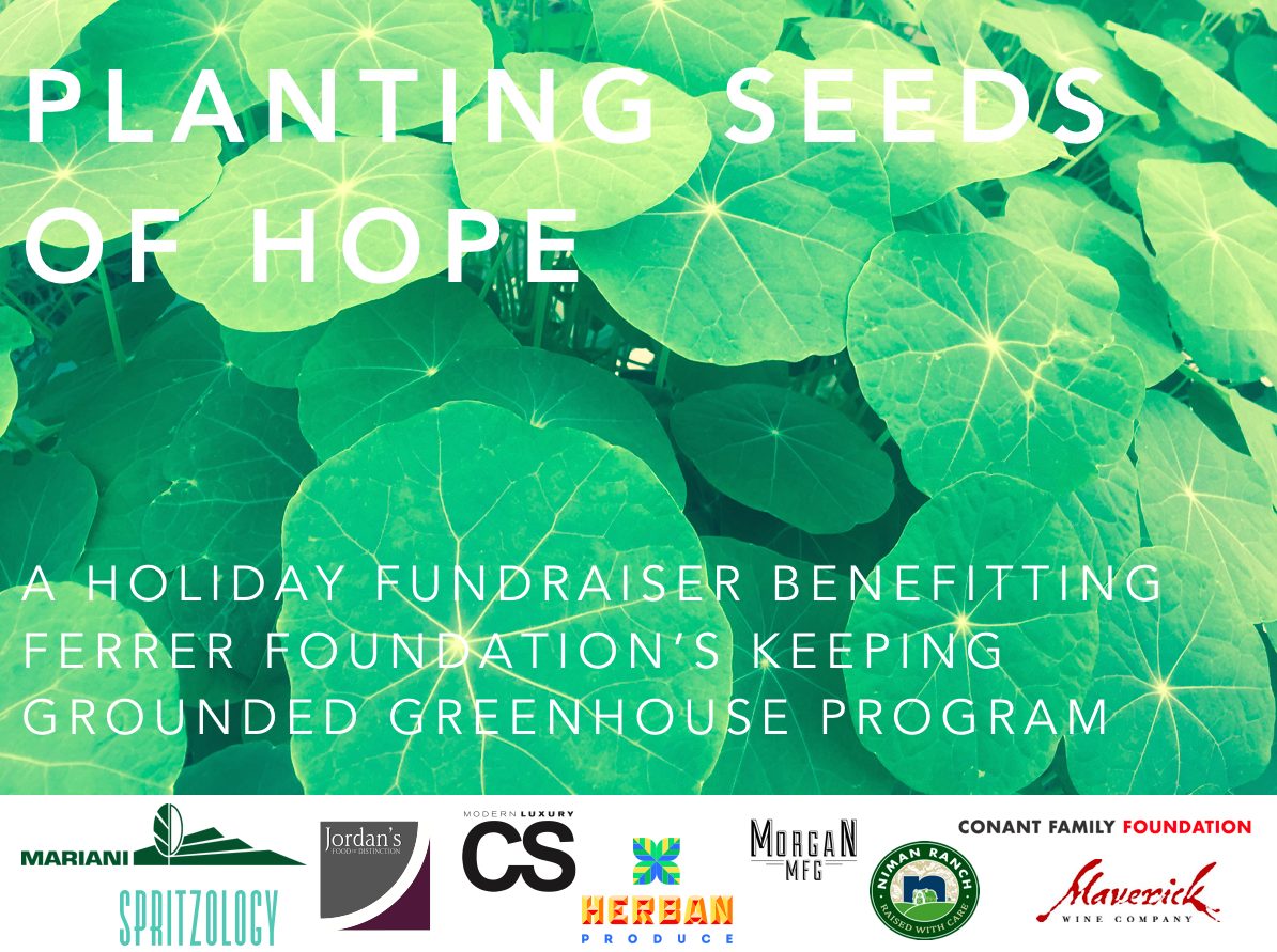 Planting Seeds W Sponsorship 171114 for The Ferrer Foundation Presents Planting Seeds of Hope