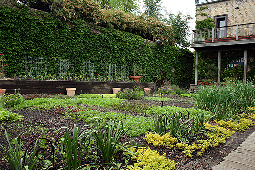 Rick Bayless Urban Edible Farm for Edible Chicago Events Launches with Bayless Inspired Event, 6/18