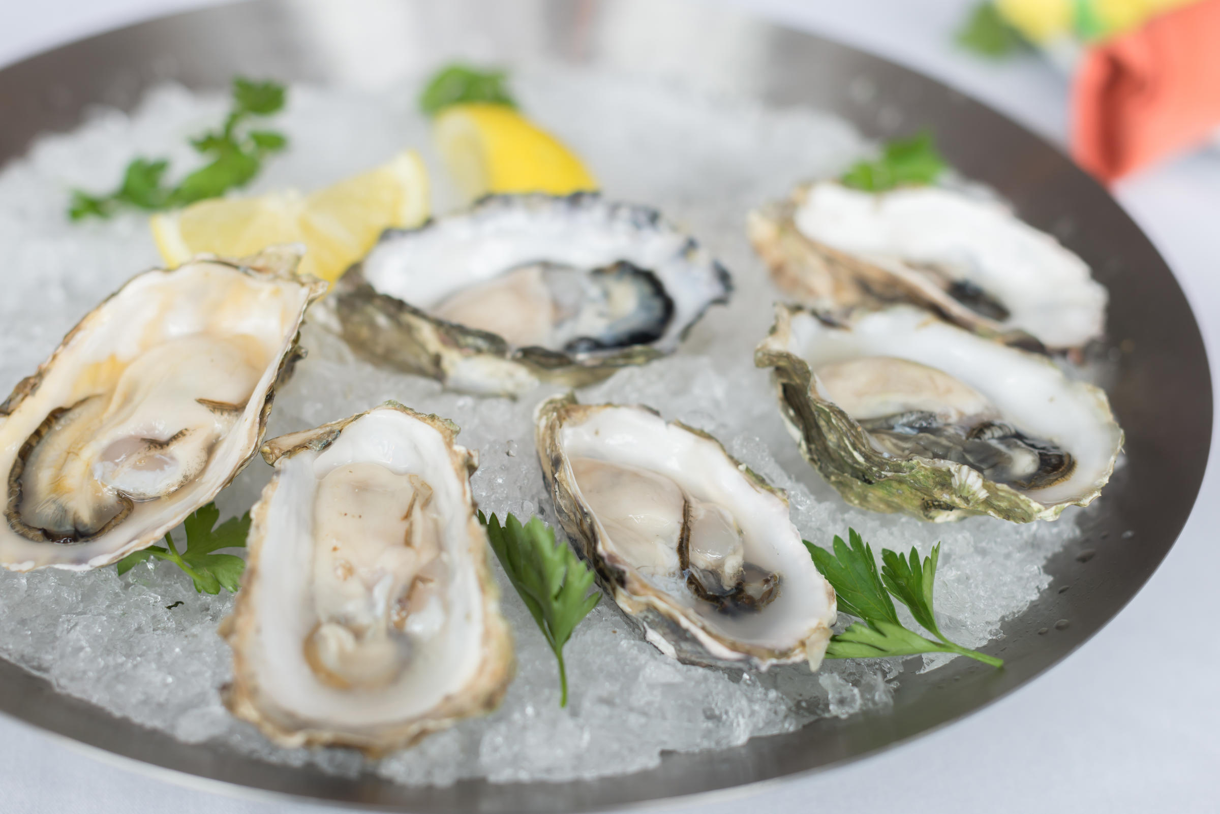 Victory Tap Oysters for Happy Hour Specials at Armand's Victory Tap