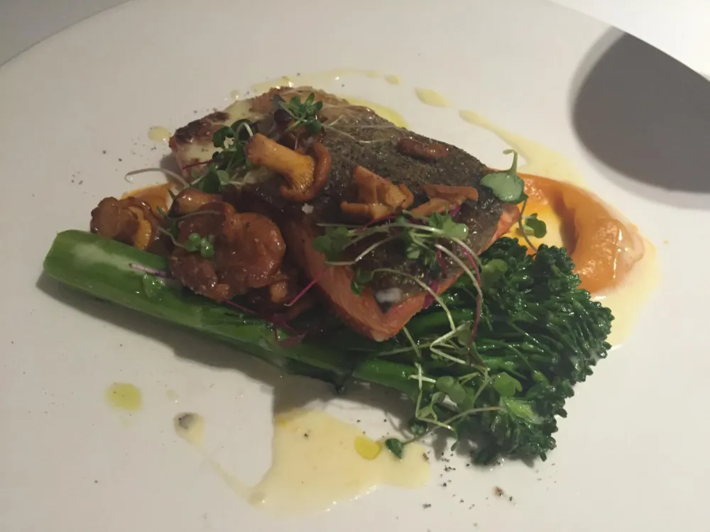 Wild Alaskan Salmon for The New Menu at Filini Will Leave You Wanting Even More