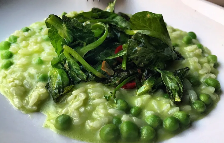Risotto with English Peas for The Bristol Evolves in Bucktown