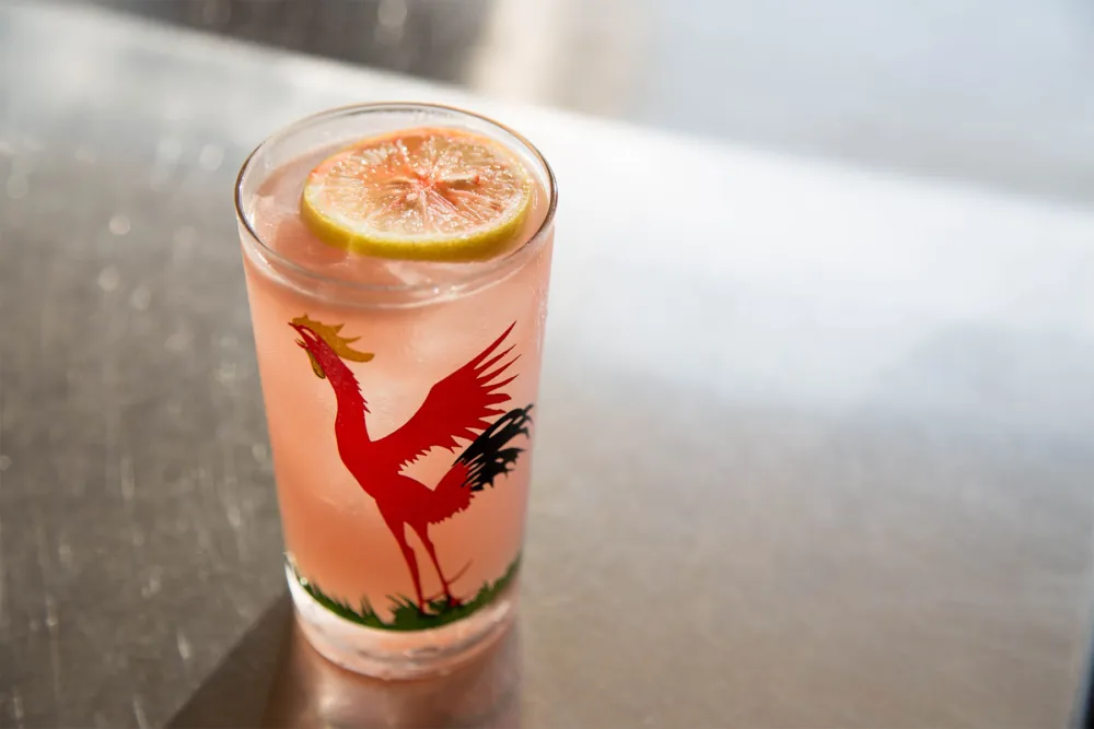In Watermelon Sugar. All photo credits: Adrian Perez for New Summer Cocktail Menu at Dove's Luncheonette