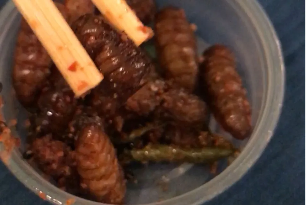 Fried silkworms for Here's What You Missed at Strange Foods Festival 2