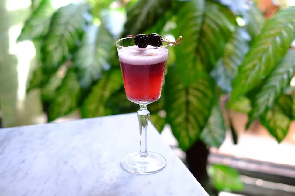 Black Cat Blue (credit: Adam Sokolowski) for New Chef Adds Fine Dining Tweaks to Hubbard Inn's Menu