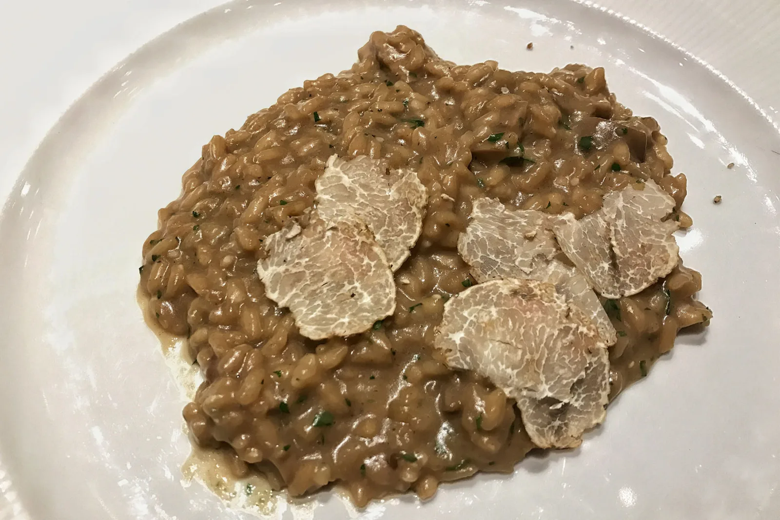 Eataly Il Tartufo 0000 Img 1102 for Eataly Brings Back White Truffle Pop Up Restaurant, Il Tartufo