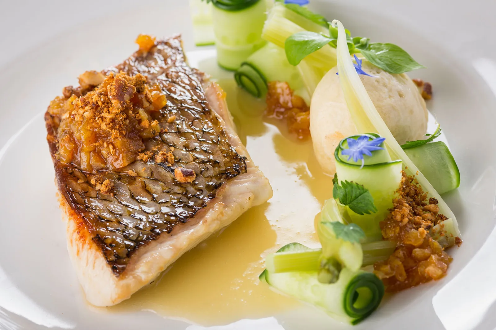 Boho New 2016 0000 White Fish for Bohemian House Debuts New Culinary & Cocktail Menus