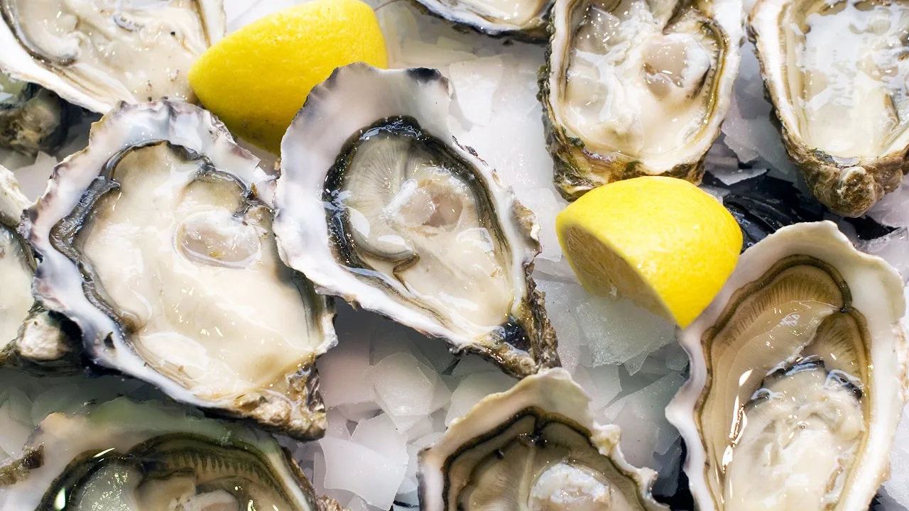 Oysters2 for Tribes Beer Company Hosts Oyster Fest at Mokena
