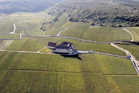 Clos De Vougeot 117 for "Sommelier for a Day" Wine Tasting at III Forks