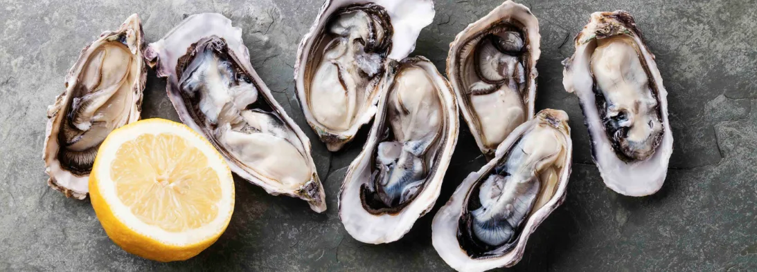 Screen shot 2016 03 15 at 11.59.15 AM for National Oyster on the Half Shell Day