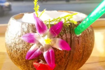 Cnz Coconut Drink Checkpleasepics for Coconutz on Division Gears Up for Endless Summer