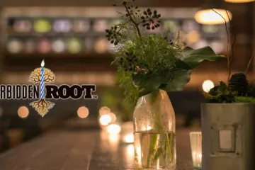 Image for Forbidden Root One Year Anniversary