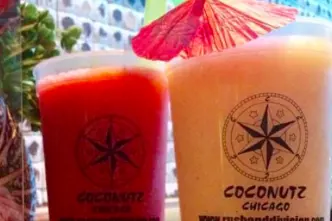 National Margarita Day Coconutz for Celebrate National Margarita Day at Coconutz in the Gold Coast