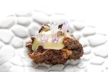 Ardent3 for Bohemian House Launches Guest Chef Series
