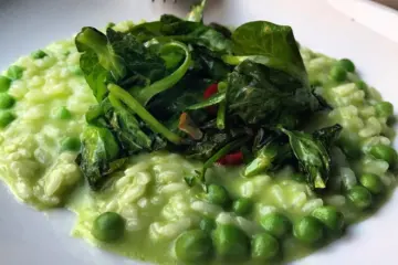 The Bristol Risotto for The Bristol Evolves in Bucktown