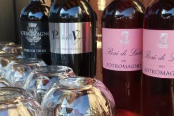 Screen Shot 2017 06 26 At 2 11 03 Pm for "Summer of Wine" at Macello