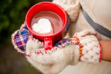 Ahp 185 Preview for Chicago's Guide to French Holiday Treats