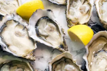 Oysters2 for Tribes Beer Company Hosts Oyster Fest at Mokena