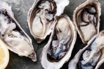 Screen Shot 2018 03 09 At 12 34 45 Pm for Oysters on the Half Shell Day at III Forks