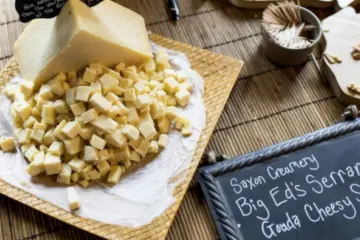 Say Cheese for Say Cheese Fest on April 15