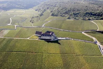 Clos De Vougeot 117 for "Sommelier for a Day" Wine Tasting at III Forks