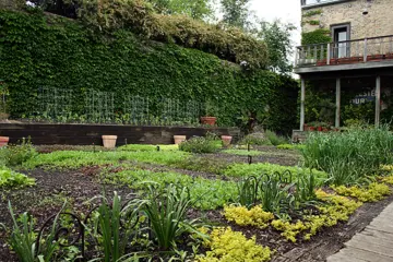 Rick Bayless Urban Edible Farm for Edible Chicago Events Launches with Bayless Inspired Event, 6/18