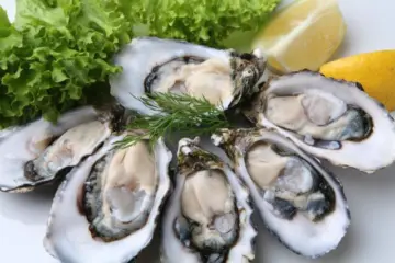 oysters at dive bar for Battle of the Bars at Oyster Bah