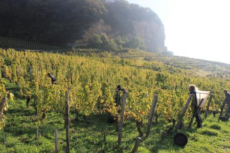 Dinner & Wine Pairing with Jean-François Bourdy at The Lunatic, The Lover & The Poet