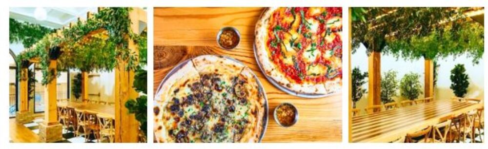 Tree House Italian coast inspired back room and outdoor patio