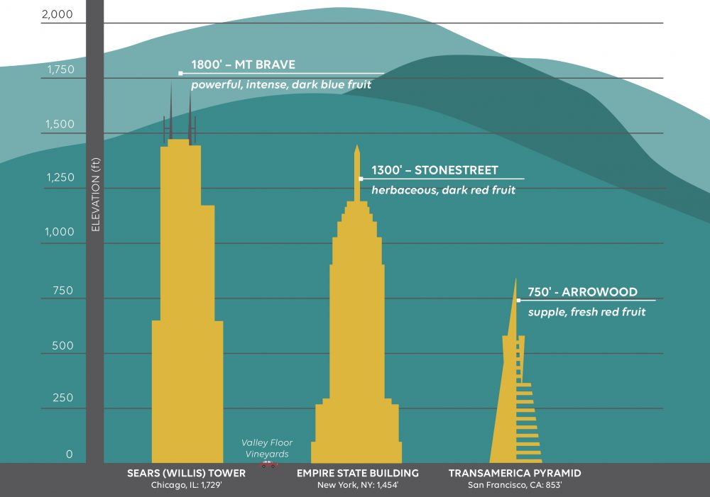 Elevate your wine knowledge.