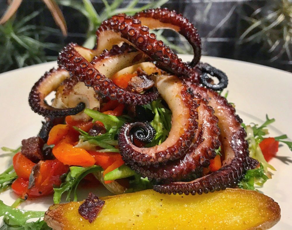 Grilled Octopus