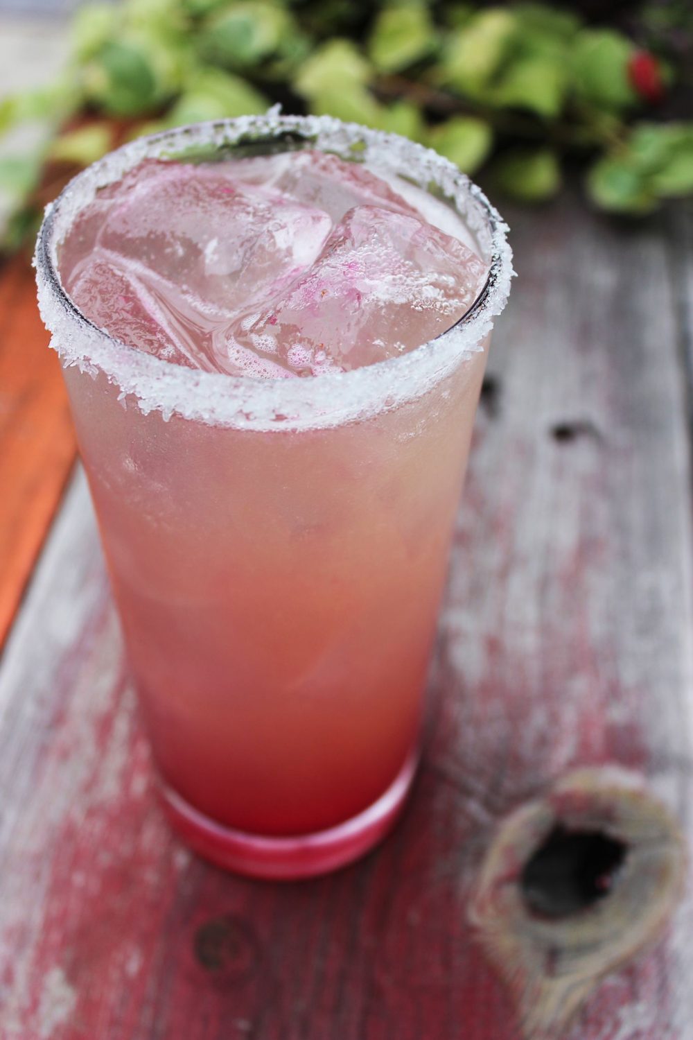 Kiwi Cactus Pear Margarita