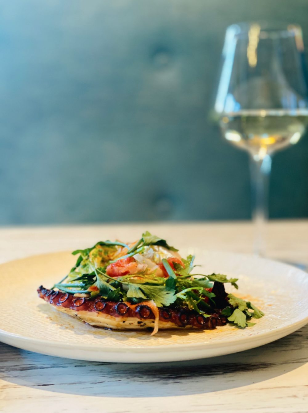 New Happy Hour Menu at Le Sud Mediterranean Kitchen