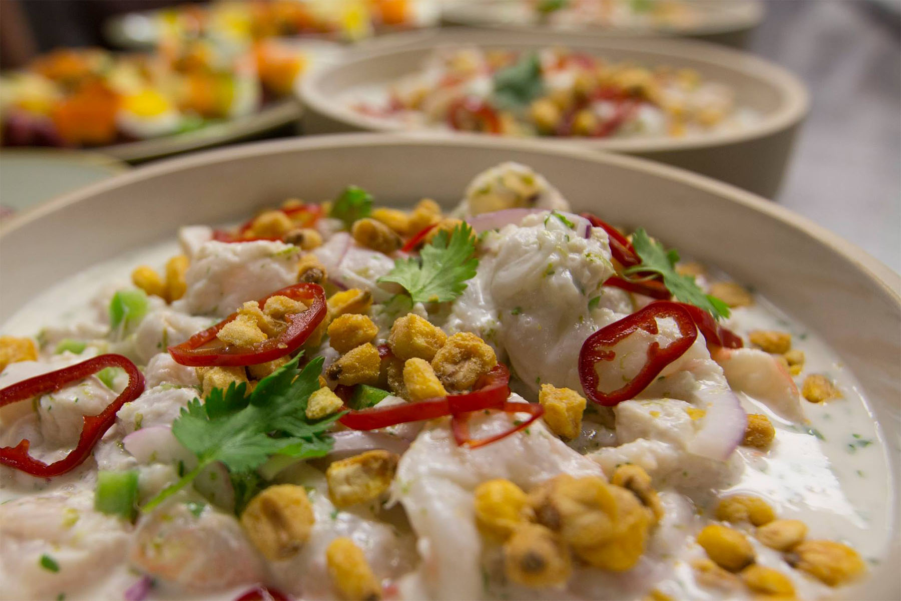 Ronero Open 0000 15168685 370784983257721 1493115219105177380 O for Ronero Brings South American Fare to the West Loop