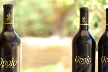 Screen shot 2015 10 28 at 3.38.03 PM for Opolo Vineyards Dinner at Park Grill in Millennium Park