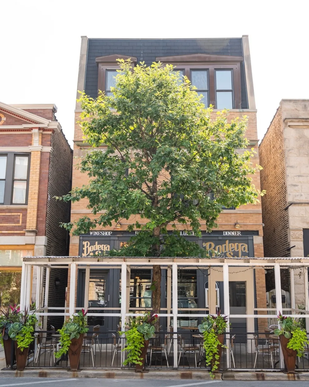 Bodega Sur patio for Soak Up the Sun During Patio and Rooftop Season 2026