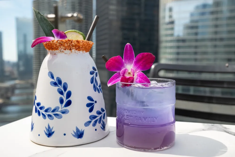LH Earth Day Cocktails Photo by Amy Ulivieri 7 for How Chicago Restaurants are Celebrating Earth Day 2026