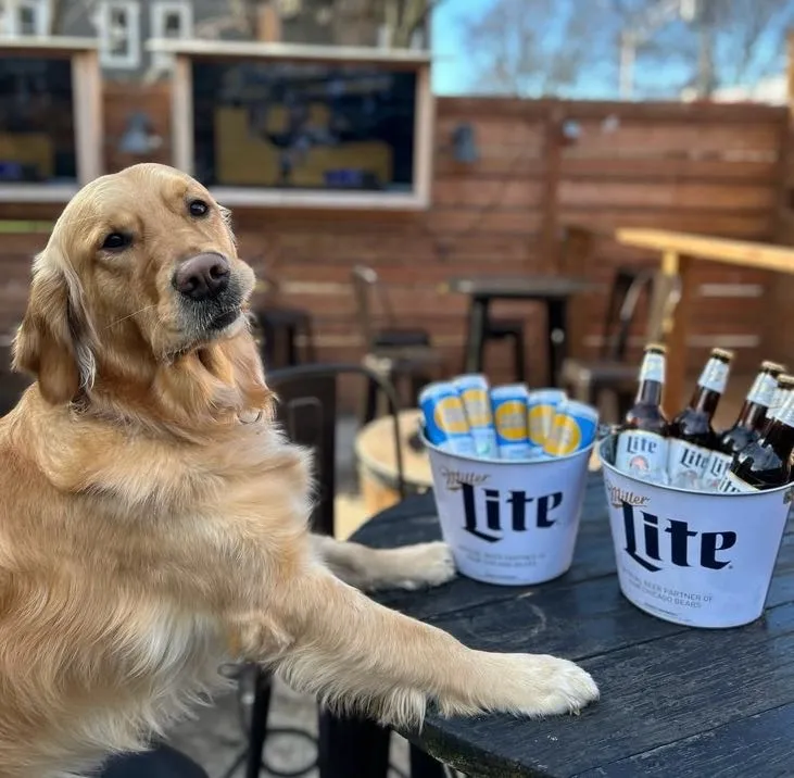 Image for Where to Celebrate Labor Day 2026